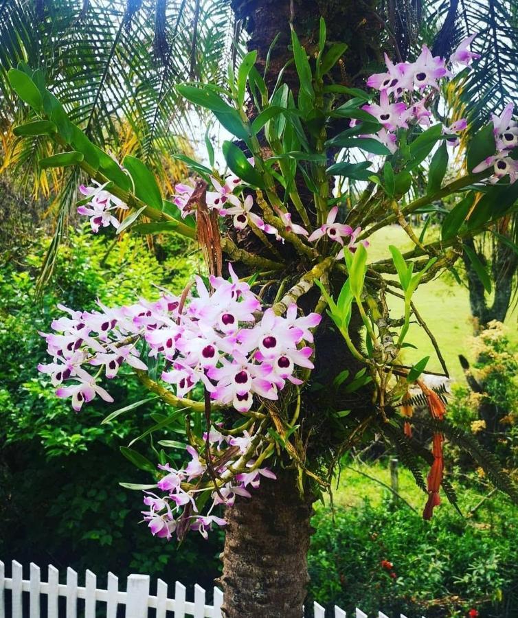 Chacara Sonho Meu Villa Pinhalzinho  Bagian luar foto